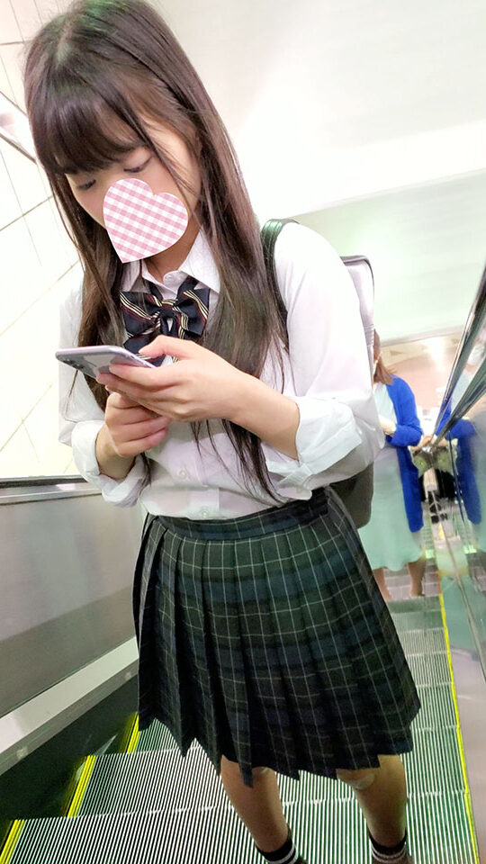 【再販】可愛いJKを毎日追いかけてスカート内パンチラを撮り続ける日々