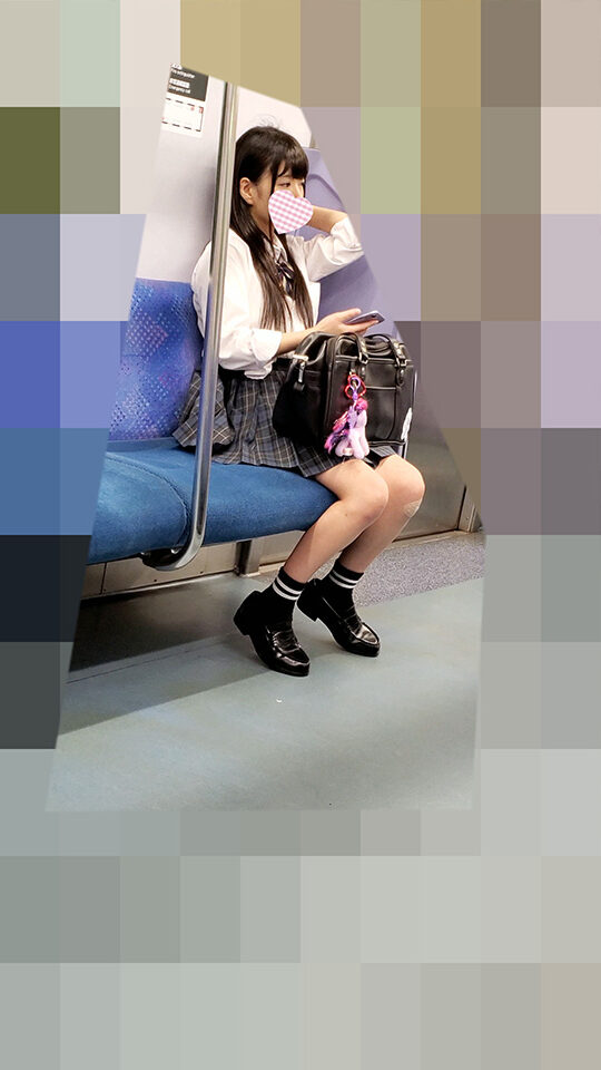 【再販】可愛いJKを毎日追いかけてスカート内パンチラを撮り続ける日々